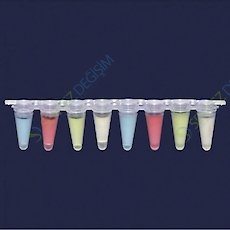 ISOLAB 123.02.018 qPCR Şeriti - Şeffaf - Demonte Düz Kapaklı - 0,2 ml - 12 Adet