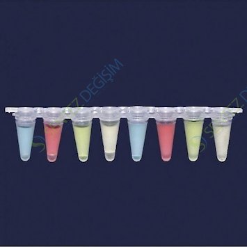 ISOLAB 123.02.018 qPCR Şeriti - Şeffaf - Demonte Düz Kapaklı - 0,2 ml - 12 Adet