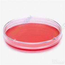 ISOLAB 120.13.060 Petri Kutusu - Hücre Kültürü İçin - 60 mm Çap