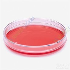 ISOLAB 120.13.035 Petri Kutusu - Hücre Kültürü İçin - 35 mm Çap