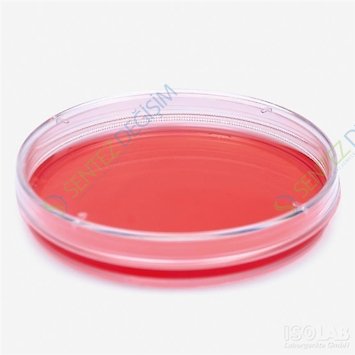 ISOLAB 120.13.035 Petri Kutusu - Hücre Kültürü İçin - 35 mm Çap