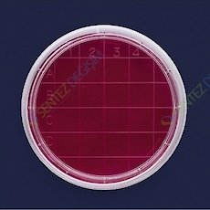 ISOLAB 081.04.160 Petri Kutusu Rodak - 60 mm - Gamma Steril