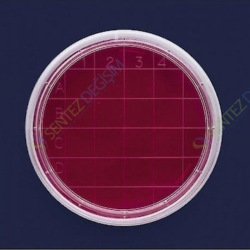 ISOLAB 081.04.160 Petri Kutusu Rodak - 60 mm - Gamma Steril