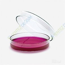 ISOLAB 081.01.120 Petri Kutusu - Cam - 120 x 20 mm