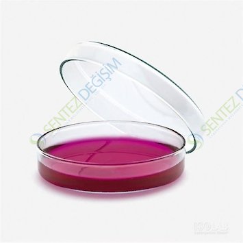 ISOLAB 081.01.100 Petri Kutusu - Cam - 100 x 20 mm