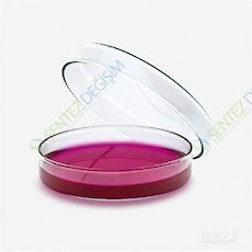 ISOLAB 081.01.080 Petri Kutusu - Cam - 80 x 15 mm