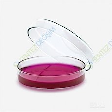 ISOLAB 081.01.060 Petri Kutusu - Cam - 60 x 15 mm