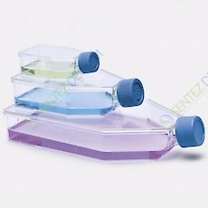 ISOLAB 120.11.175 Şişe - Hücre Kültürü - Geçirgen Kapaklı - 175 cm2 - 50 ml