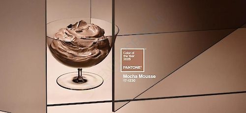 PANTONE 2025 TCX - COTTON CHIP SET (İLAVE 175 ADET YENİ RENK EN GÜNCEL VERSİYON) -PANTONE 2025 TCX KLASÖR (KUMAŞ) 