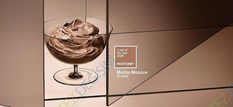 PANTONE 2025 TCX - COTTON CHIP SET (İLAVE 175 ADET YENİ RENK EN GÜNCEL VERSİYON) -PANTONE 2025 TCX KLASÖR (KUMAŞ) 