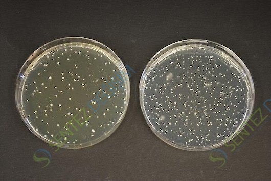 MERCK 100043.0500 Tos -Propionate Agar
