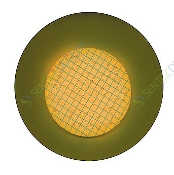 MERCK 107680.0500 Lactose Ttc Agar With Tergitol® 7 For Microbiology