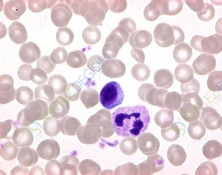 MERCK 109202.0010 Ct-Supplement For Microbiology