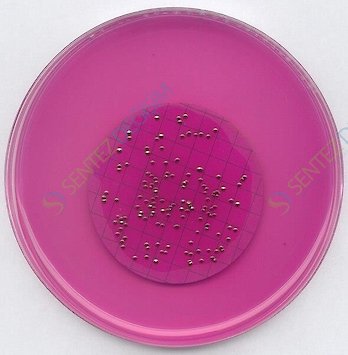 MERCK 111277.0500 M-Endo Agar Les For Microbiology